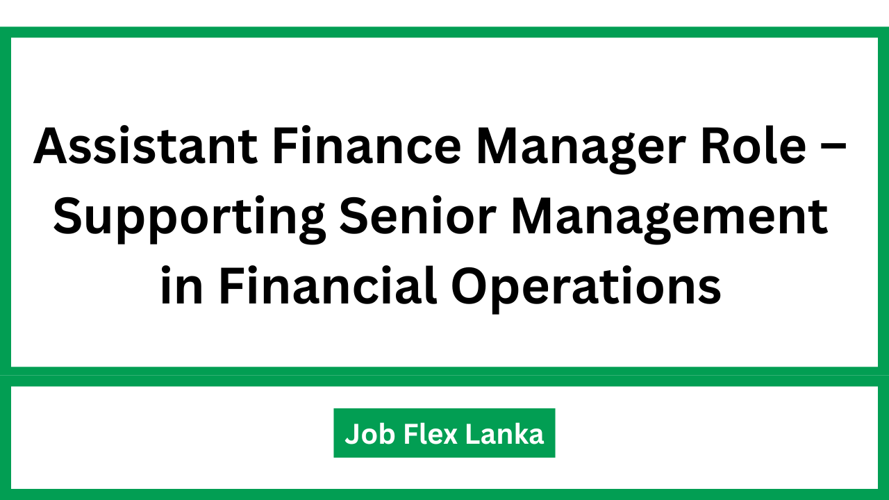 Assistant Finance Manager Role – Supporting Senior Management in Financial Operations