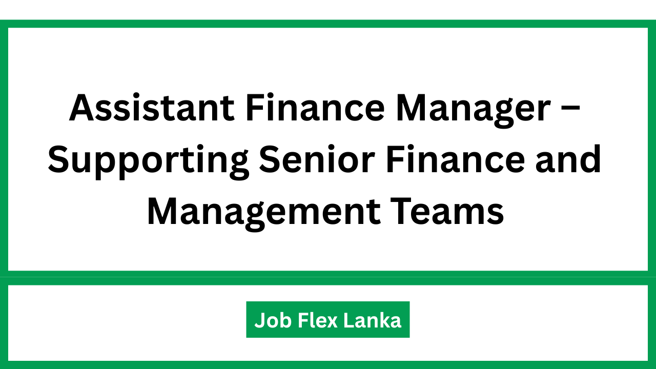 Assistant Finance Manager – Supporting Senior Finance and Management Teams