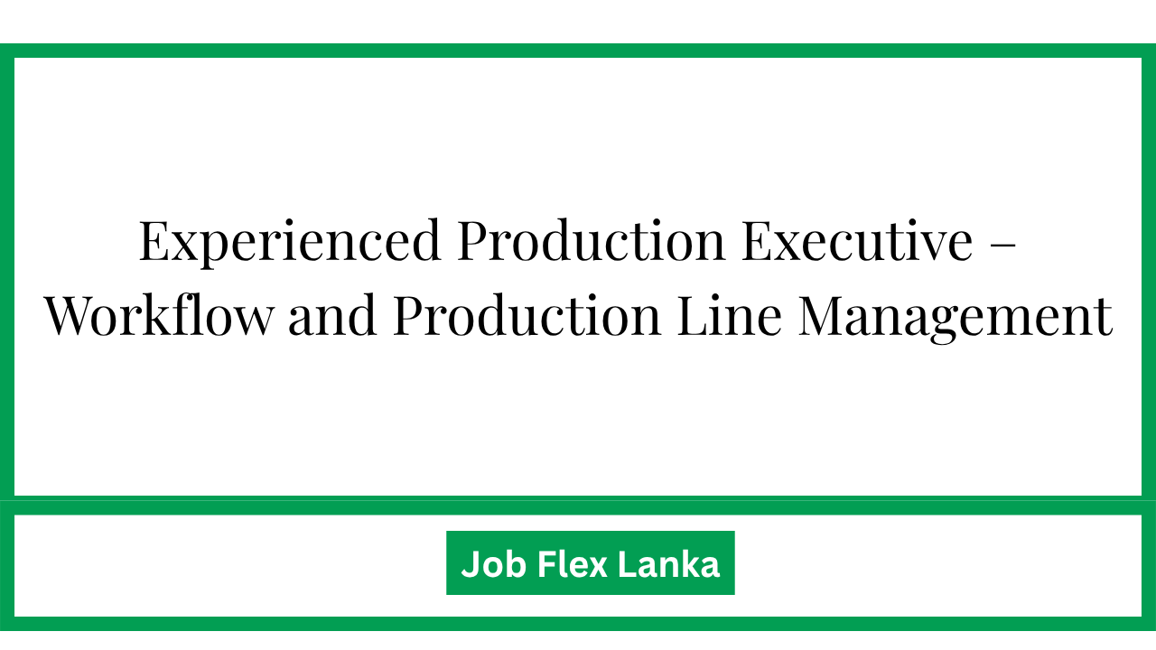 Experienced Production Executive – Workflow and Production Line Management