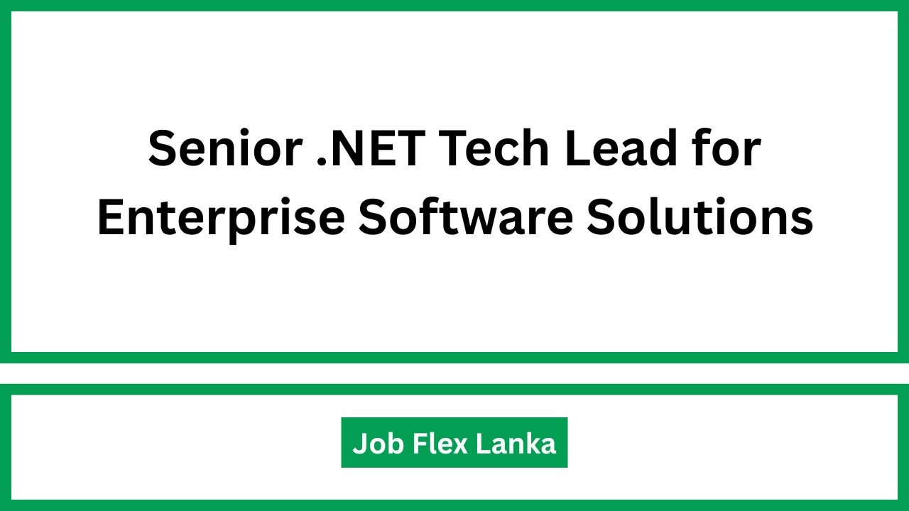 Senior .NET Tech Lead for Enterprise Software Solutions