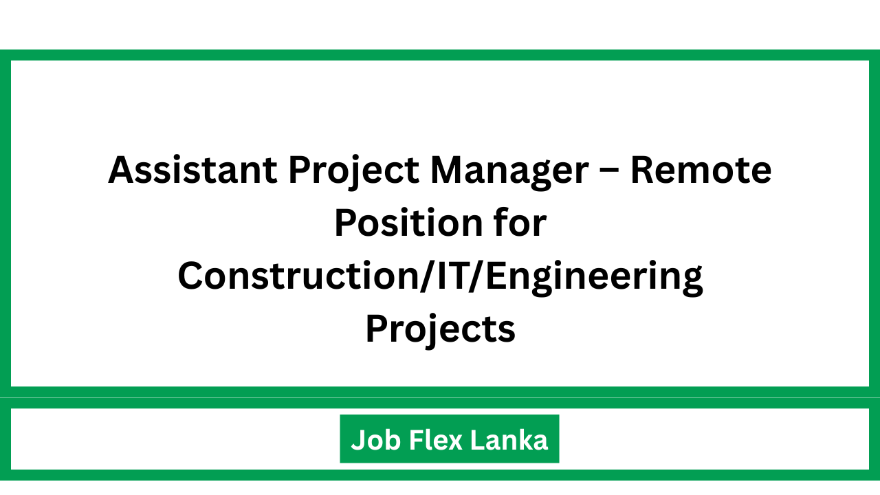 Assistant Project Manager – Remote Position for Construction/IT/Engineering Projects