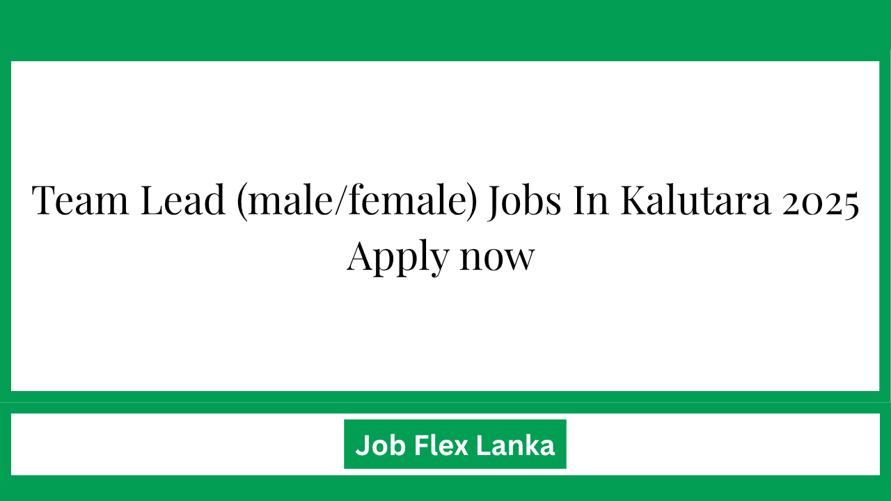 Team Lead (male/female) Jobs In Kalutara 2025 Apply now
