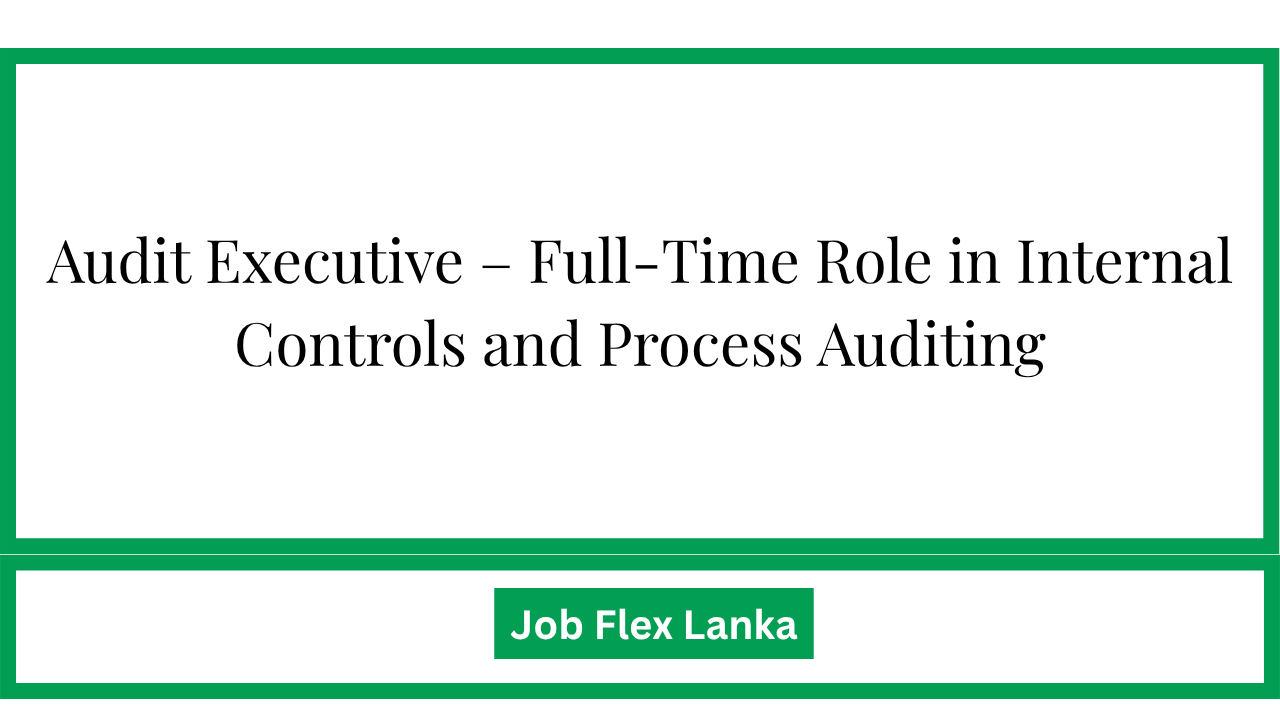 Audit Executive – Full-Time Role in Internal Controls and Process Auditing