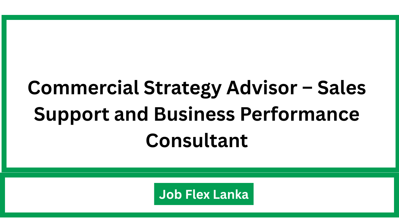 Commercial Strategy Advisor – Sales Support and Business Performance Consultant