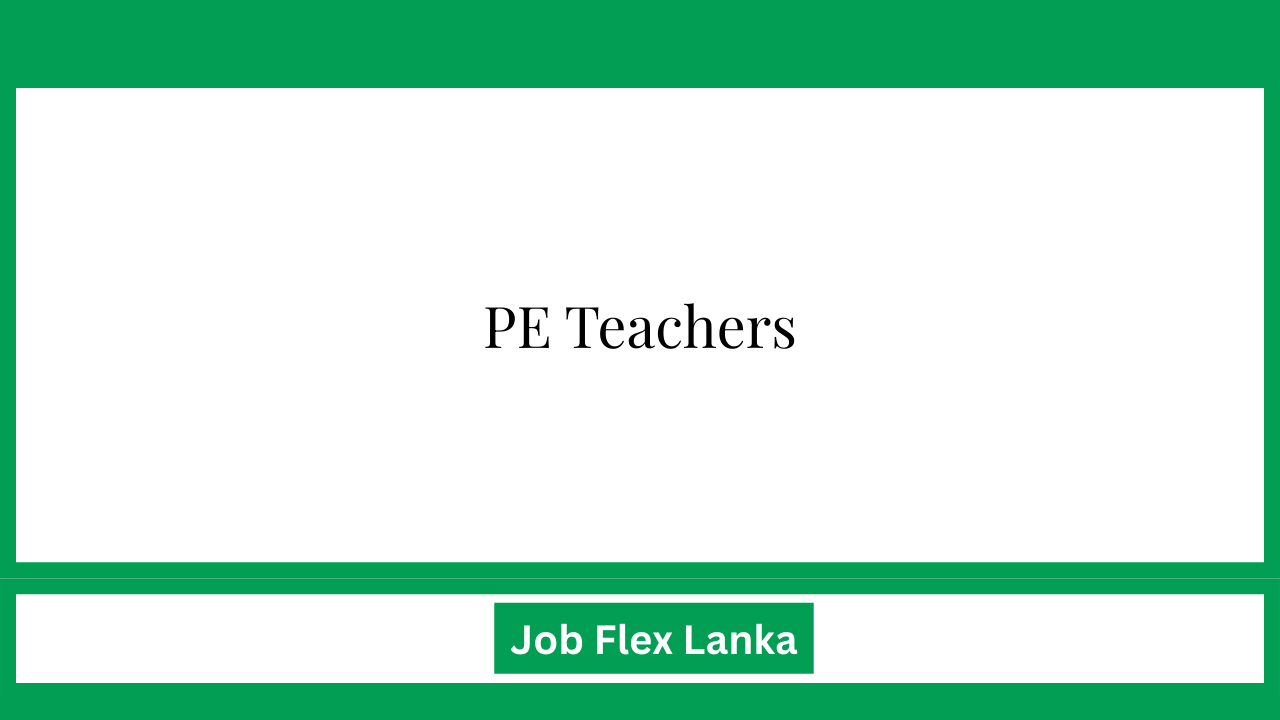PE Teachers